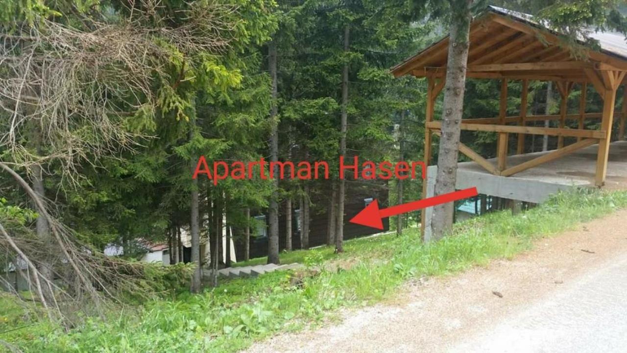 Apartman Hasen Vlasic Apartment Bagian luar foto